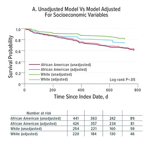 Fig A:  This chart depicts survival probabilities according to adjusted and unadjusted models of racial diversity